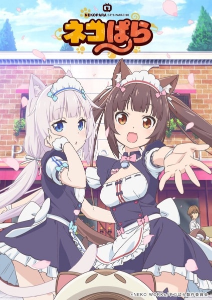 Ver NekoPara: Episodio 2 – Ver Hentai en Español