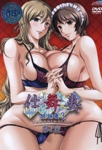 Ver Shimaizuma: Episodio 1 - Ver Hentai en Español
