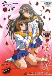 Ver Ai Shimai: Futari no Kajitsu: Episodio 3 - Ver Hentai en Español