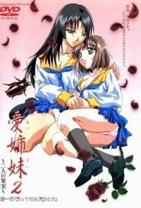 Ver Ai Shimai 2: Futari no Kajitsu: Episodio 1 - Ver Hentai en Español