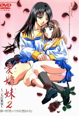 Ver Ai Shimai 2: Futari no Kajitsu: Episodio 1 – Ver Hentai en Español