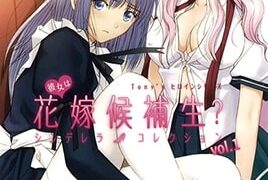 Ver Kanojo wa Hanayome Kouhosei: Episodio 1 – Ver Hentai en Español