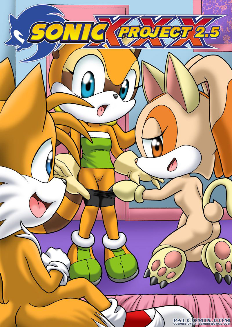 Sonic XXX – Project 2.5